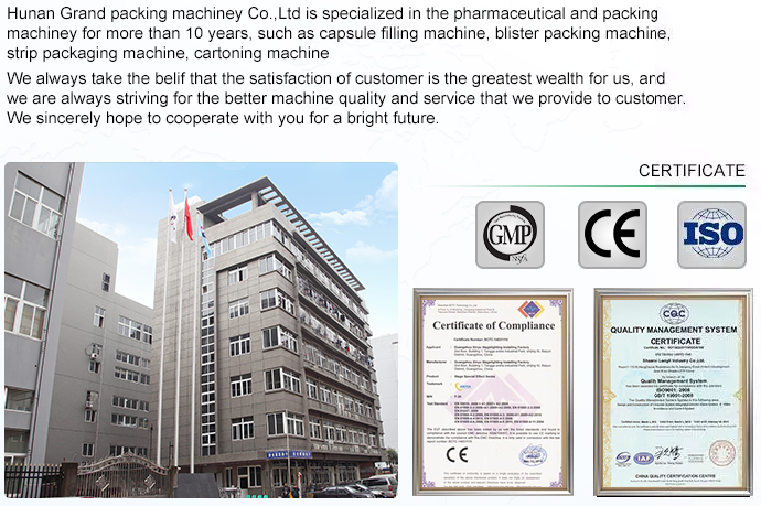 company information 회사 정보