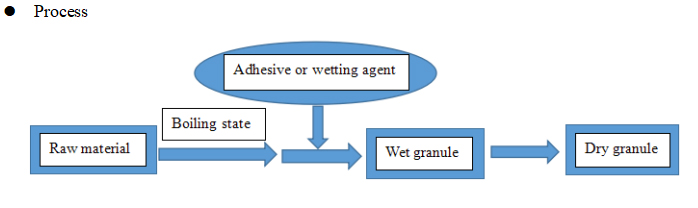 유동 끓는 과립