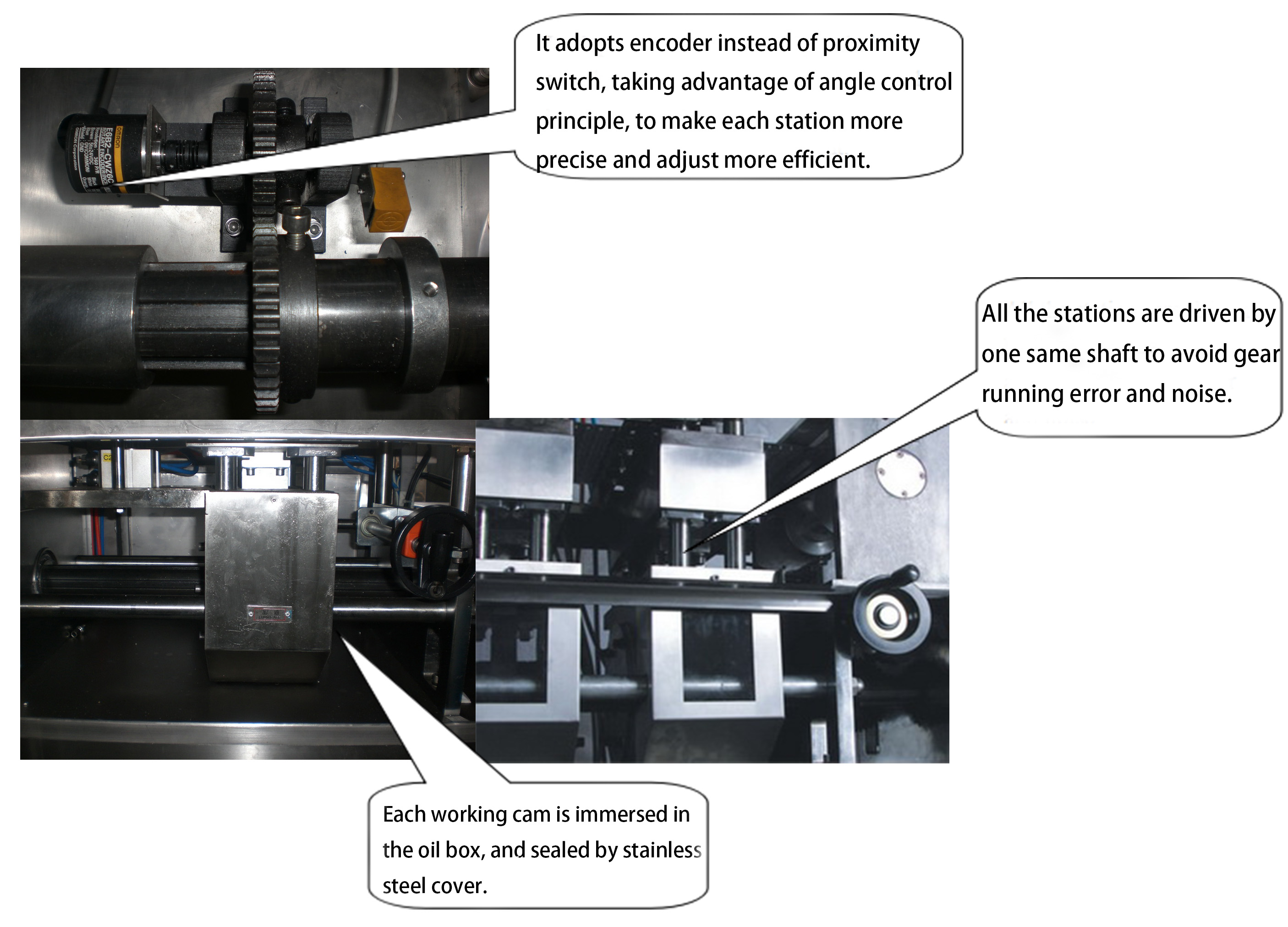 물집 포장 기계 세부 정보