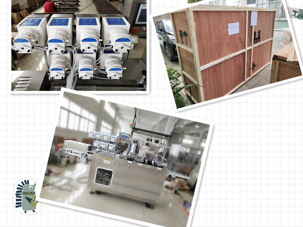 액체 오일 포장 기계