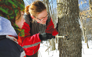메이플 설탕 축제